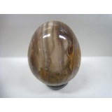 Egg in Pertified Wood (Fossilised) 