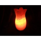 Himalayan Salt Lamp Tulip