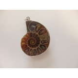 Ammonite Pendant 4cm