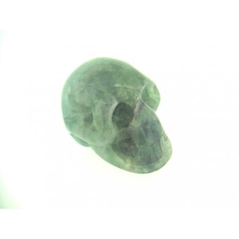 Skull in Fluorite 65mm Long by 45mm High