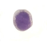 Amethyst Sear Stone 30-50mm