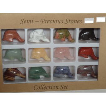 Box of 12 Mixed Dolphins
