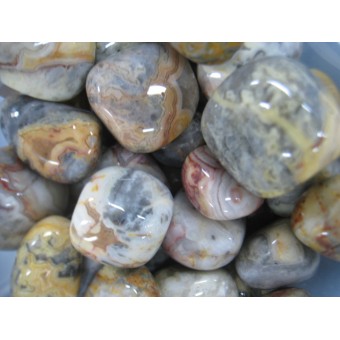 Agate - Crazy Lace - Tumbled  20x30mm    200 GRAMS