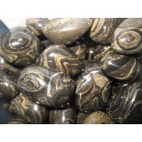 Stromatolite - Tumbled  20x30mm    200 GRAMS