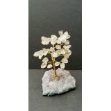 Clear Quartz on Amethyst base - Gemstone Tree - 120mmHx75mmW