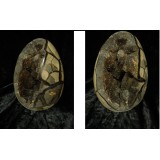 Large Black Septerian Egg Madagascar 6kg